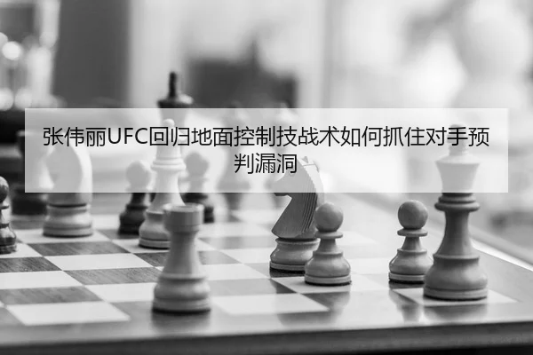 zhang-wei-li-hui-gui-di-mian-kong-zhi-ji-zhan-shu-ru-he-zhua-zhu-dui-shou-yu-pan-lou-dong-2-413.jpg